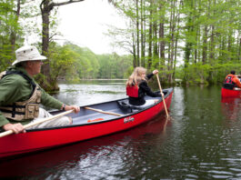Two canoes being paddled along river