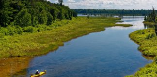 A kayaker on a river with green vegetation on either side