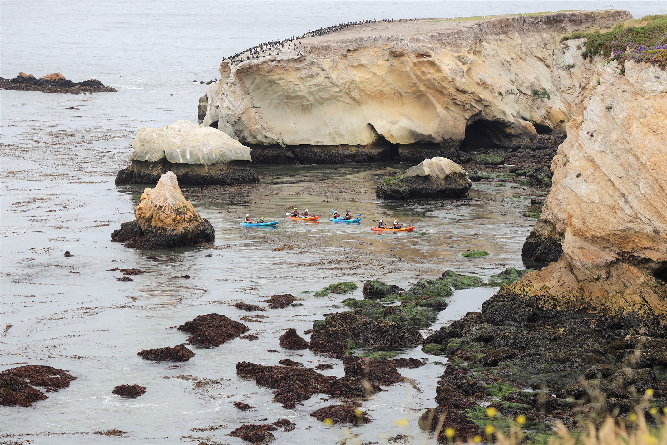 people kayaking on the coast