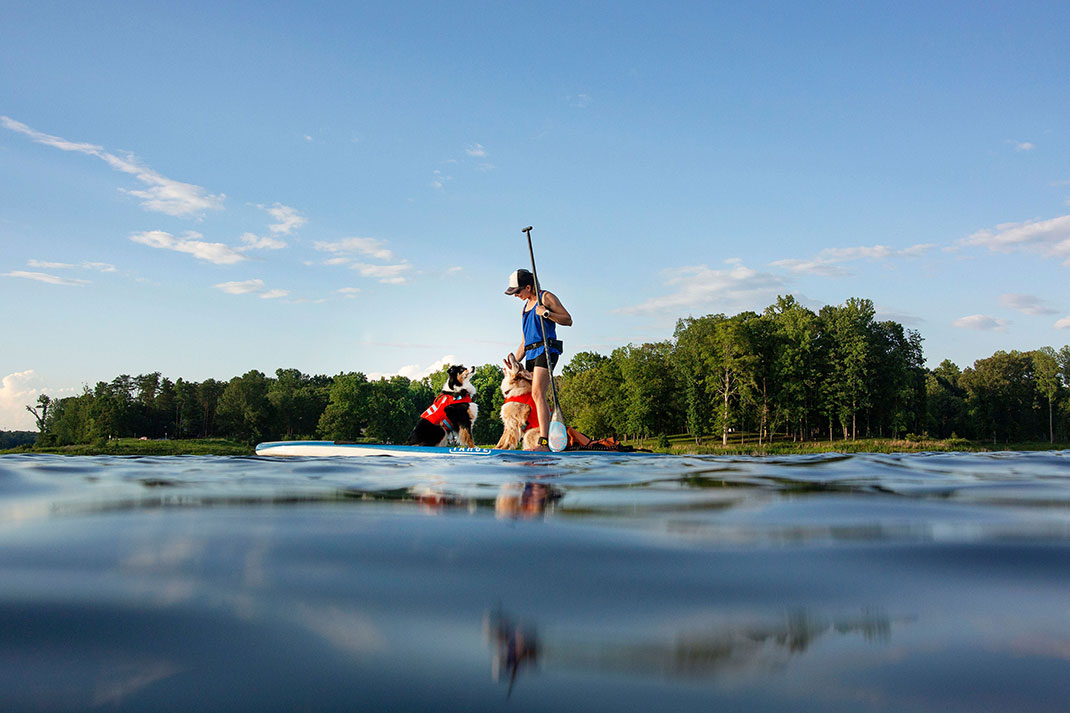 Woman with two dogs on her paddleboard