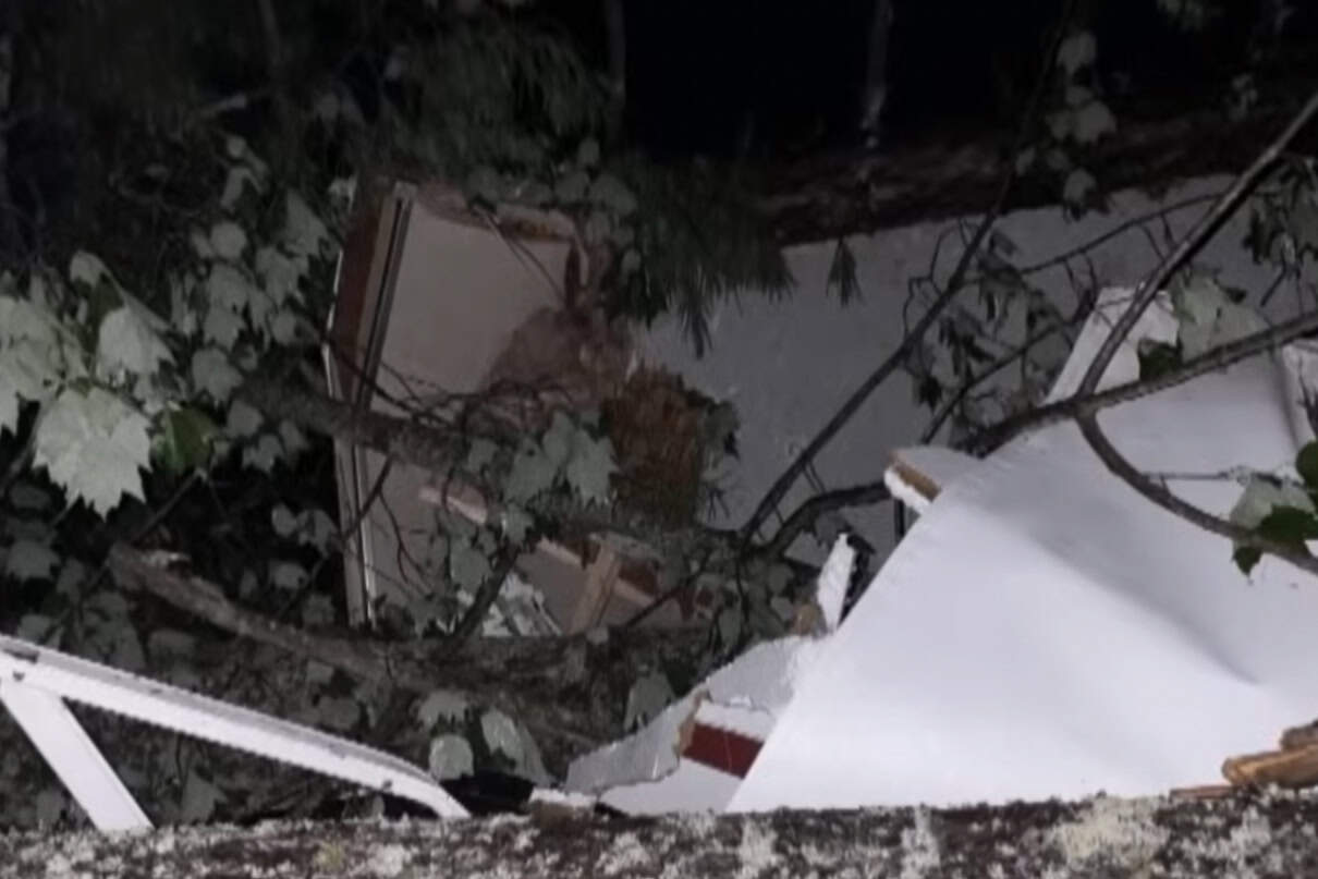 Storm damage at a campsite in Algonquin Park, Ontario